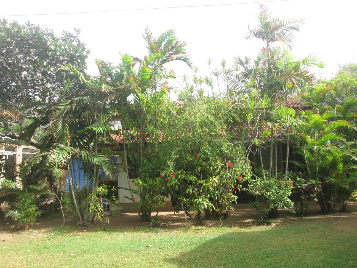 מורטואה Cottage Garden Bungalows מראה חיצוני תמונה